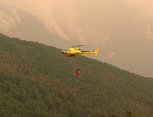 From paper to the cloud: the future of emergency plans